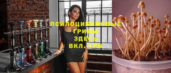 мяу мяу мука Бугульма