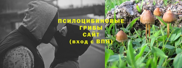 мяу мяу мука Бугульма